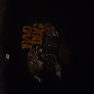 Harley-Davidson tee shirt